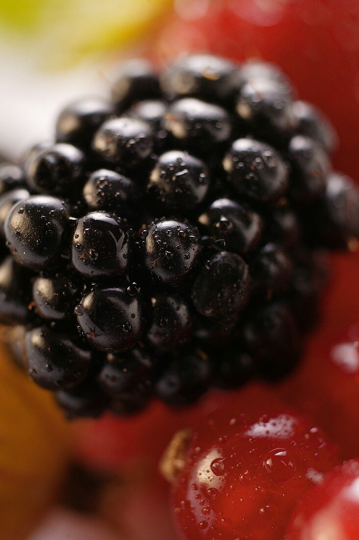 Fresh blackberry (detail)