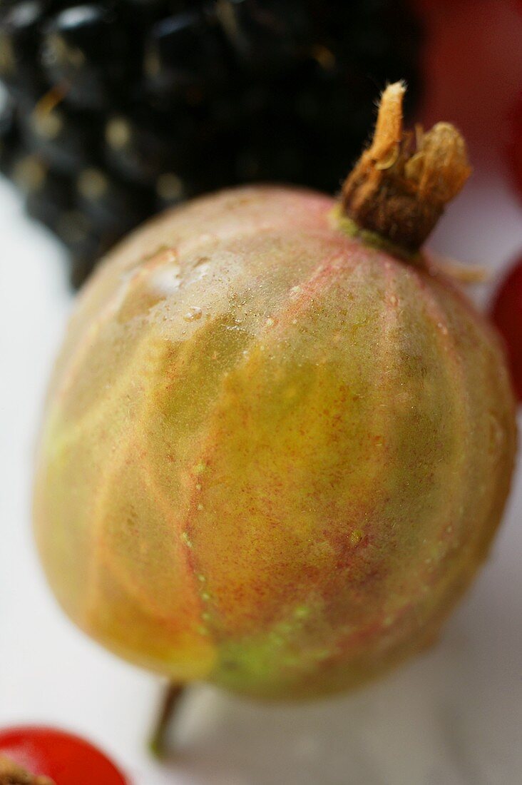 Gooseberry (close-up)