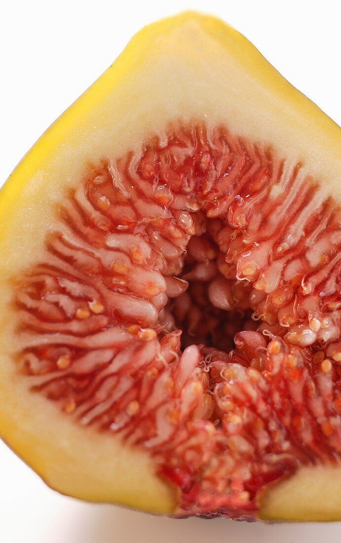 Half a fig (detail)