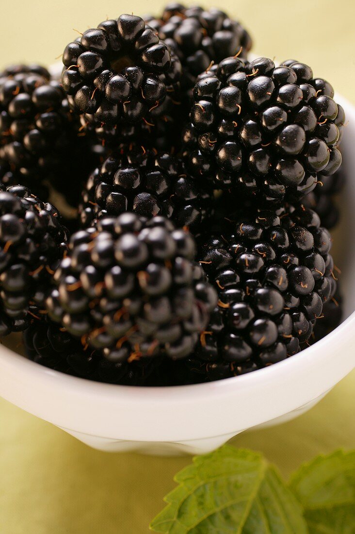 Brombeeren in Schale (Close Up)