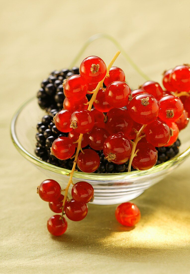 Brombeeren und rote Johannisbeeren in Schale