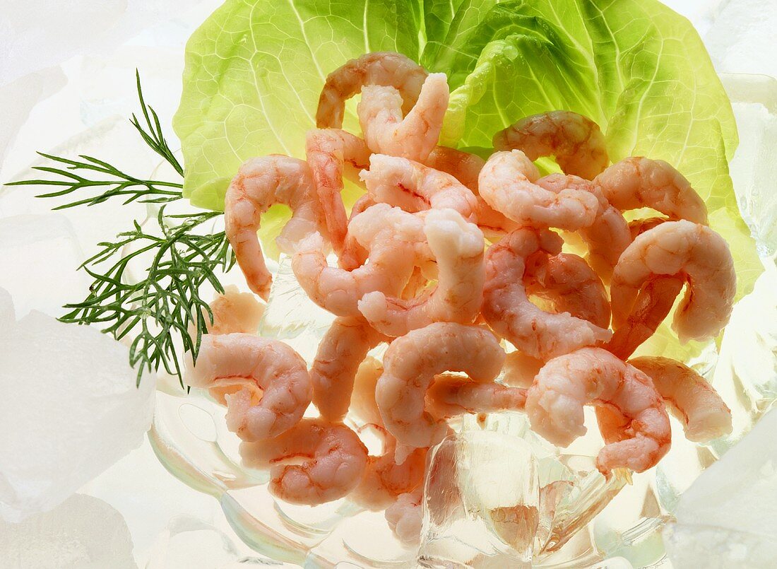 Shrimps on ice, garnished with lettuce and dill