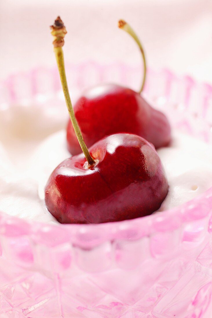 Fresh cherries on whipped cream