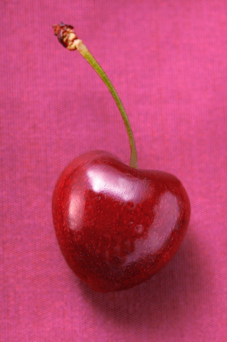 Eine rote Herzkirsche auf pink Untergrund