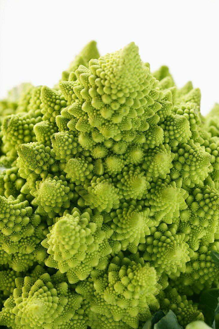 Romanesco