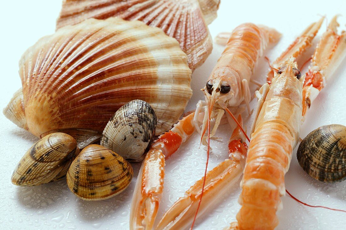 Scampi and shellfish