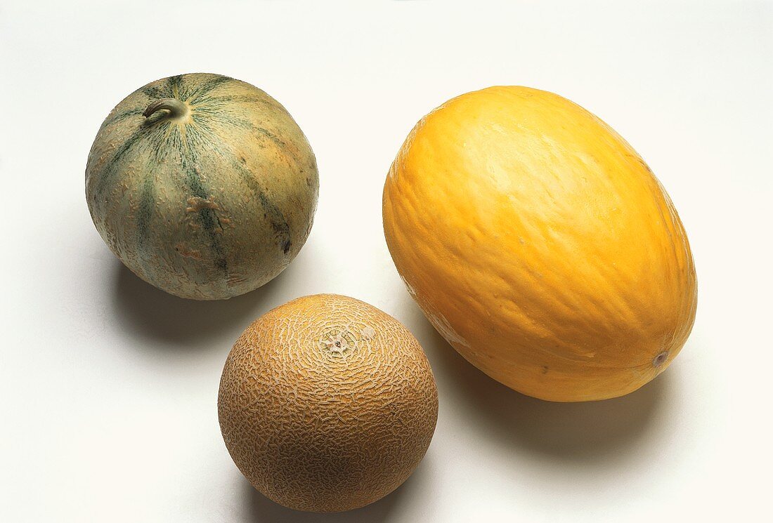 Charentais melon, honeydew melon and Galia melon