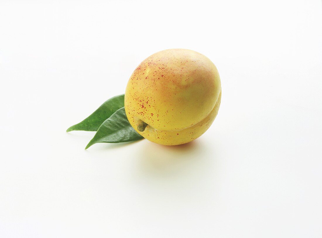 White peach with leaves