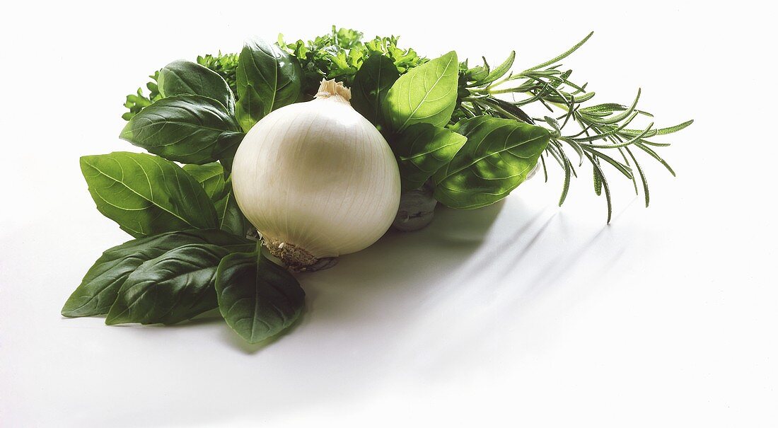 Fresh herbs and white onion