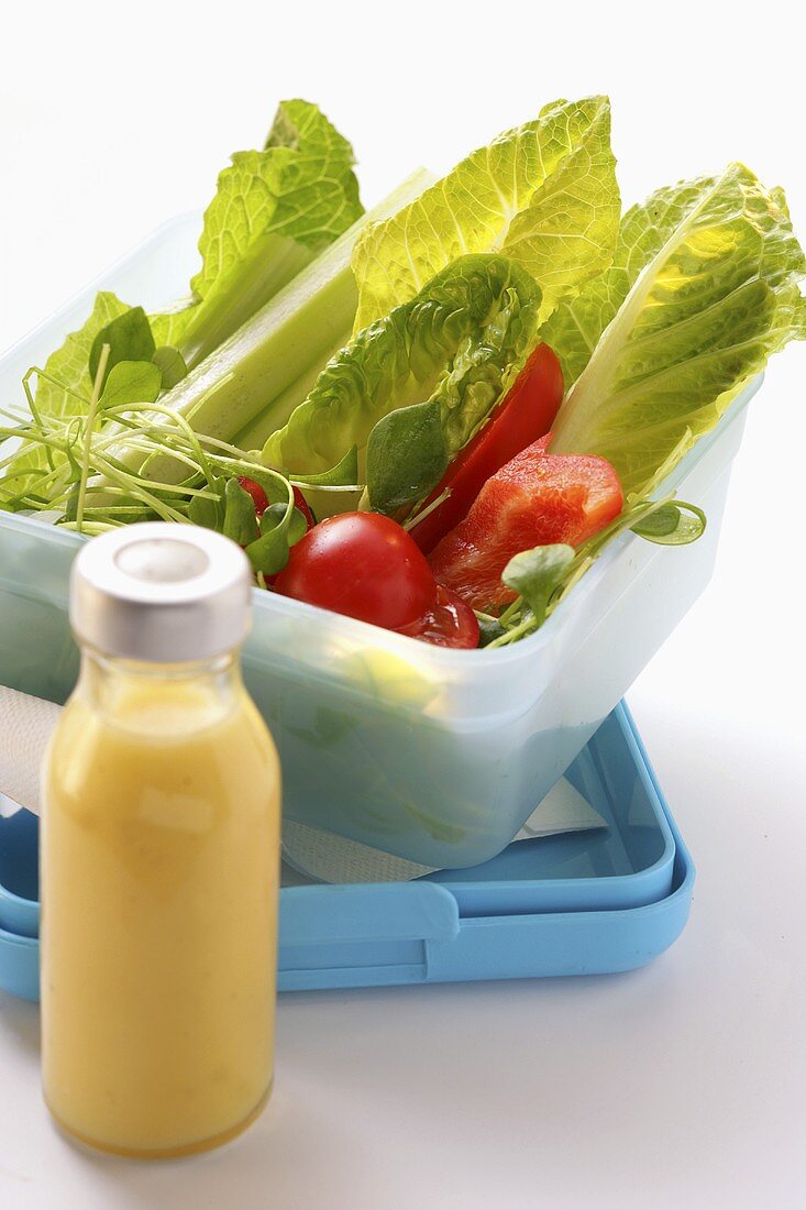 Salat in einer Lunchbox; Salatdressing in Flasche