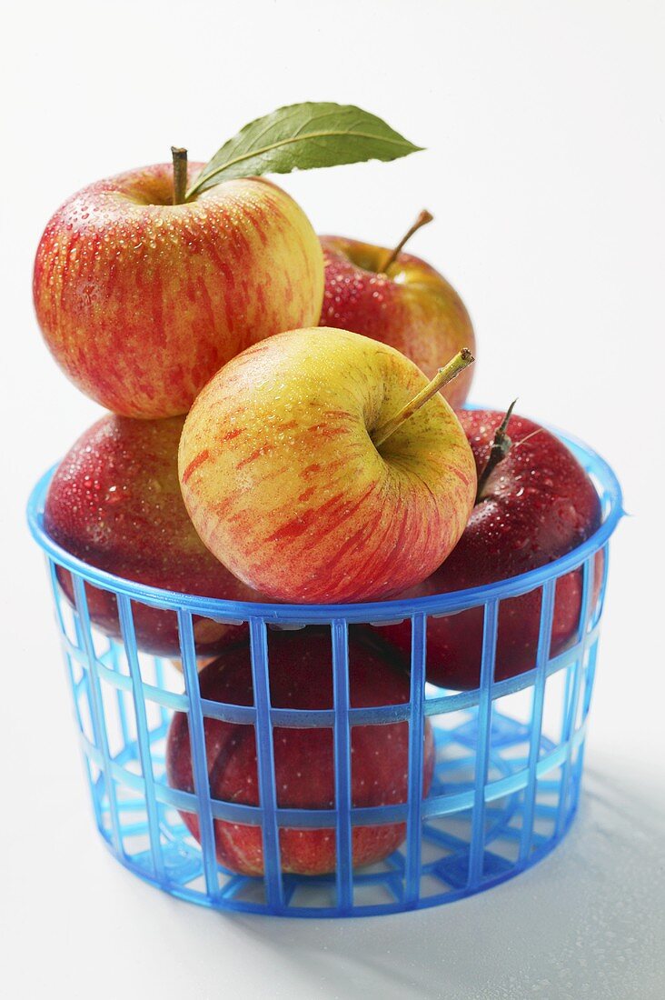 Frische Äpfel im Plastikkorb