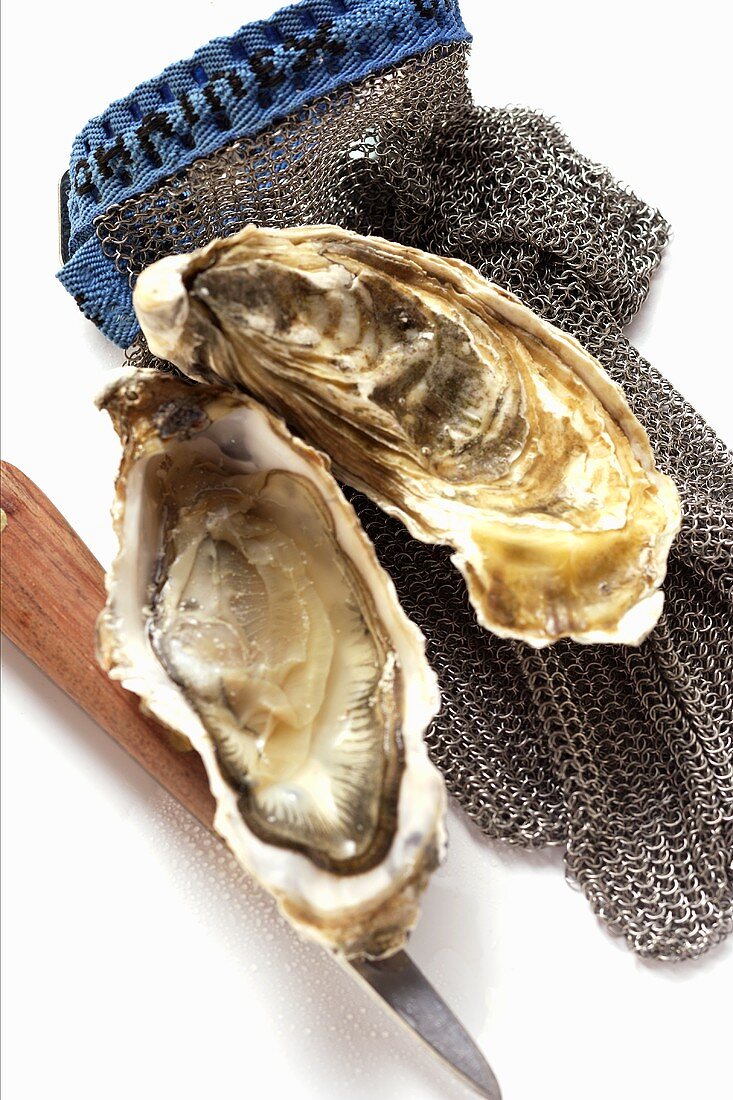 Opened oyster, oyster knife and oyster glove