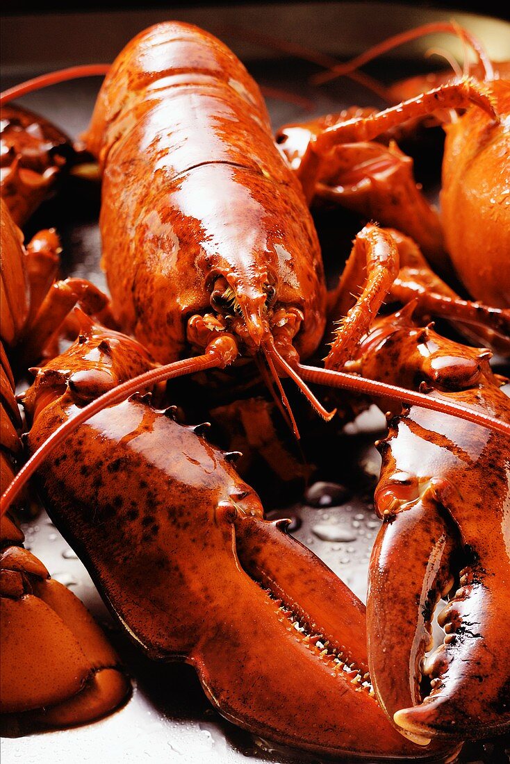 Boiled lobsters