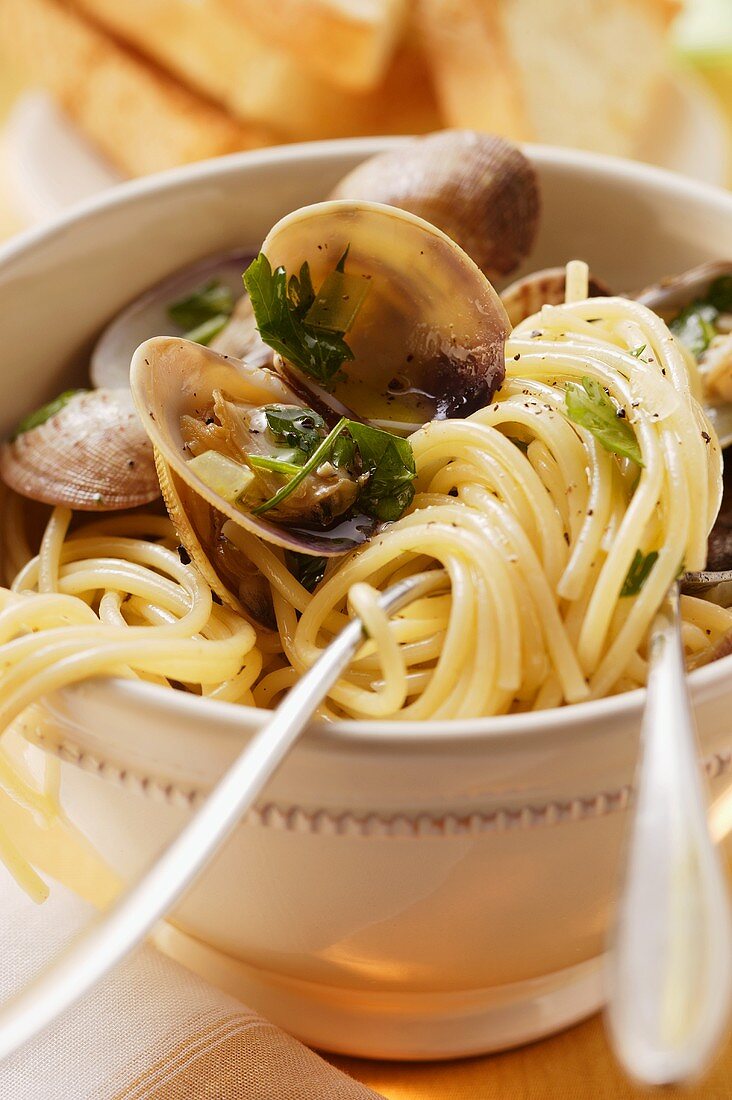 Spaghetti vongole with herbs