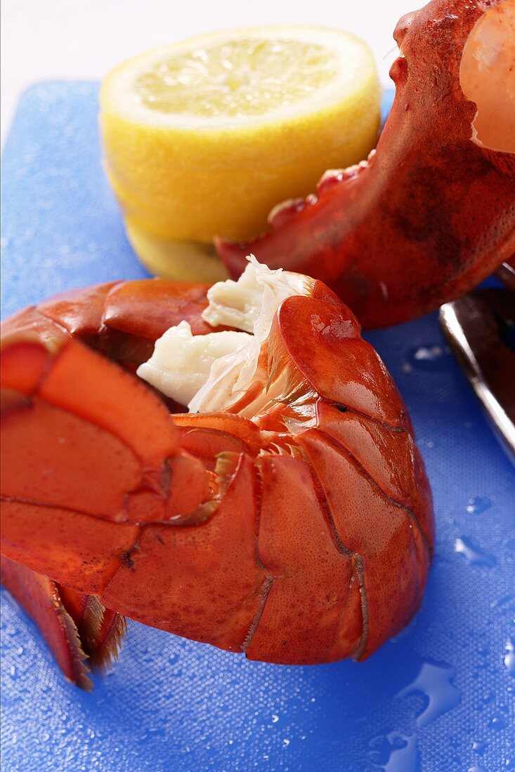 Cooked lobster with slices of lemon