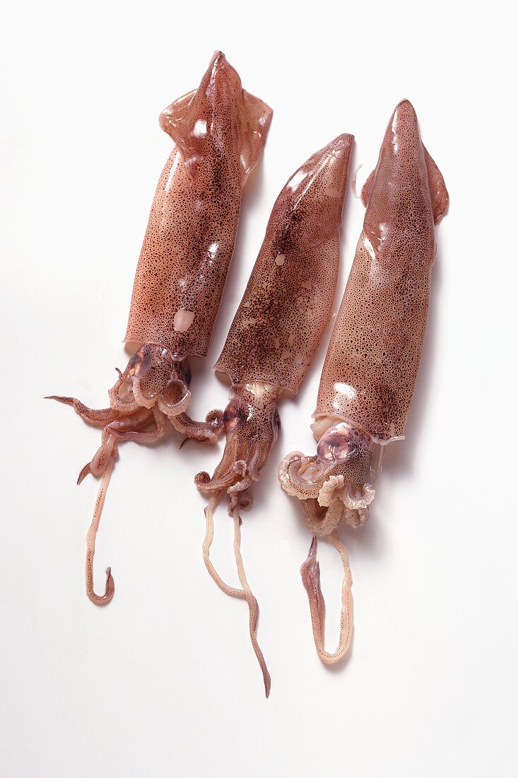 Three squid