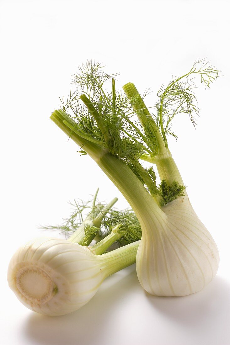 Fresh fennel