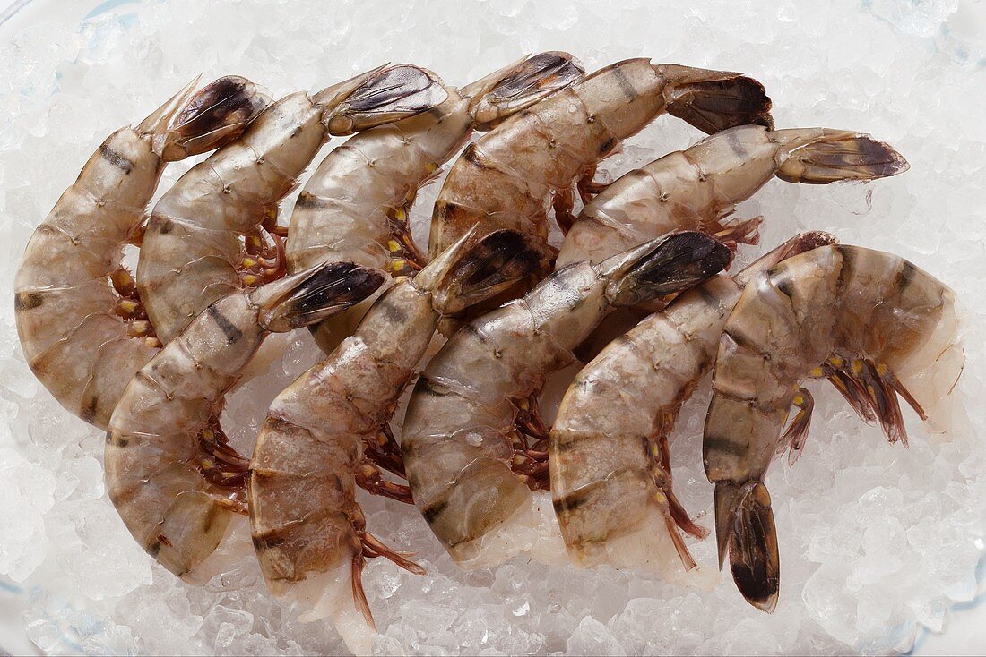 Several king prawns without heads on ice