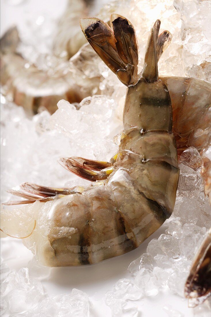 King prawns without heads on ice