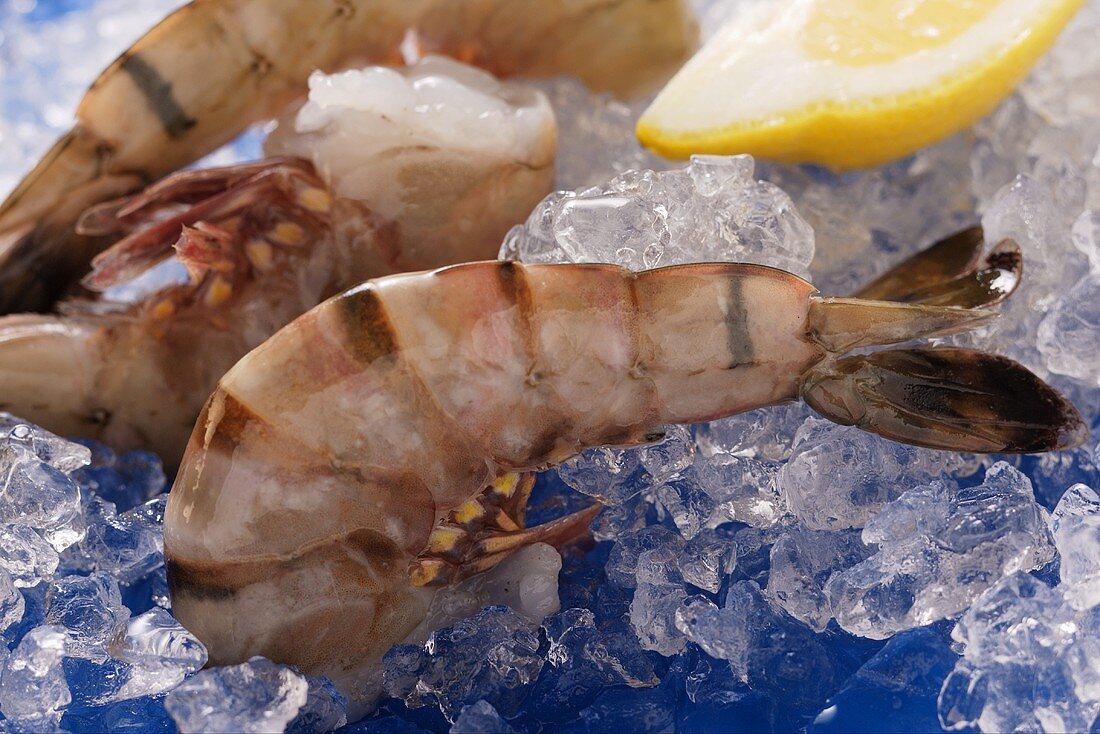 King prawns without heads on ice with lemon