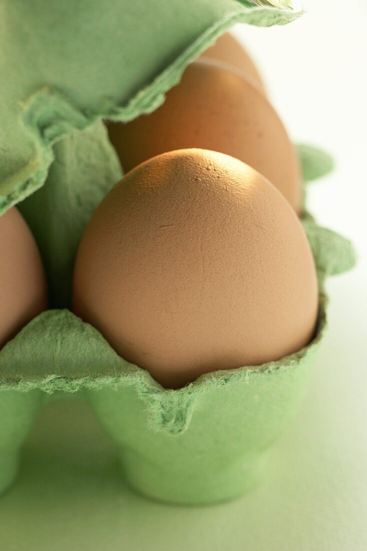 Braune Eier im grünen Eierkarton