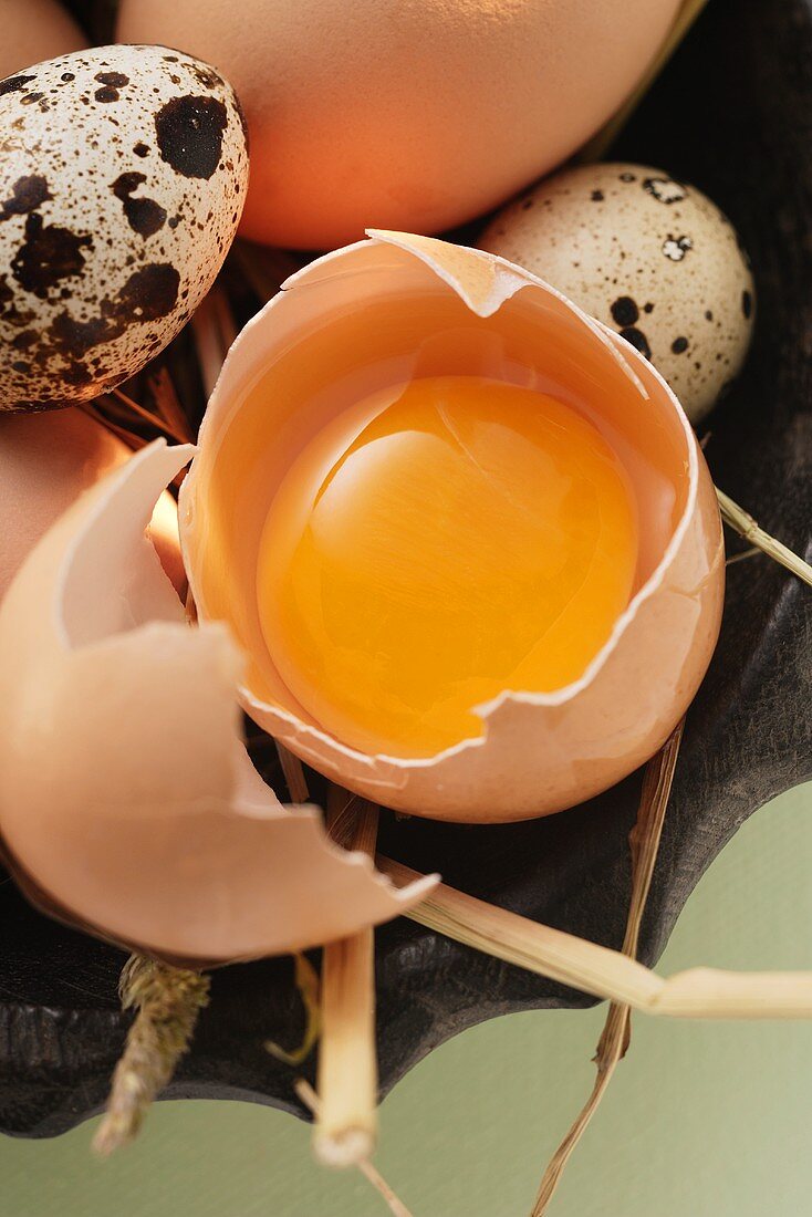 Eier, aufgeschlagenes Ei und Wachteleier in Schale mit Stroh