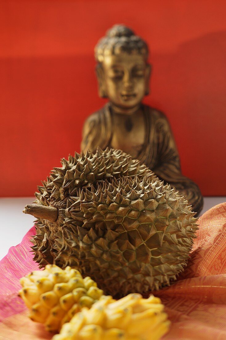 Still life with durian and pitahayas