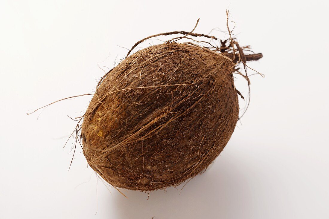 A coconut