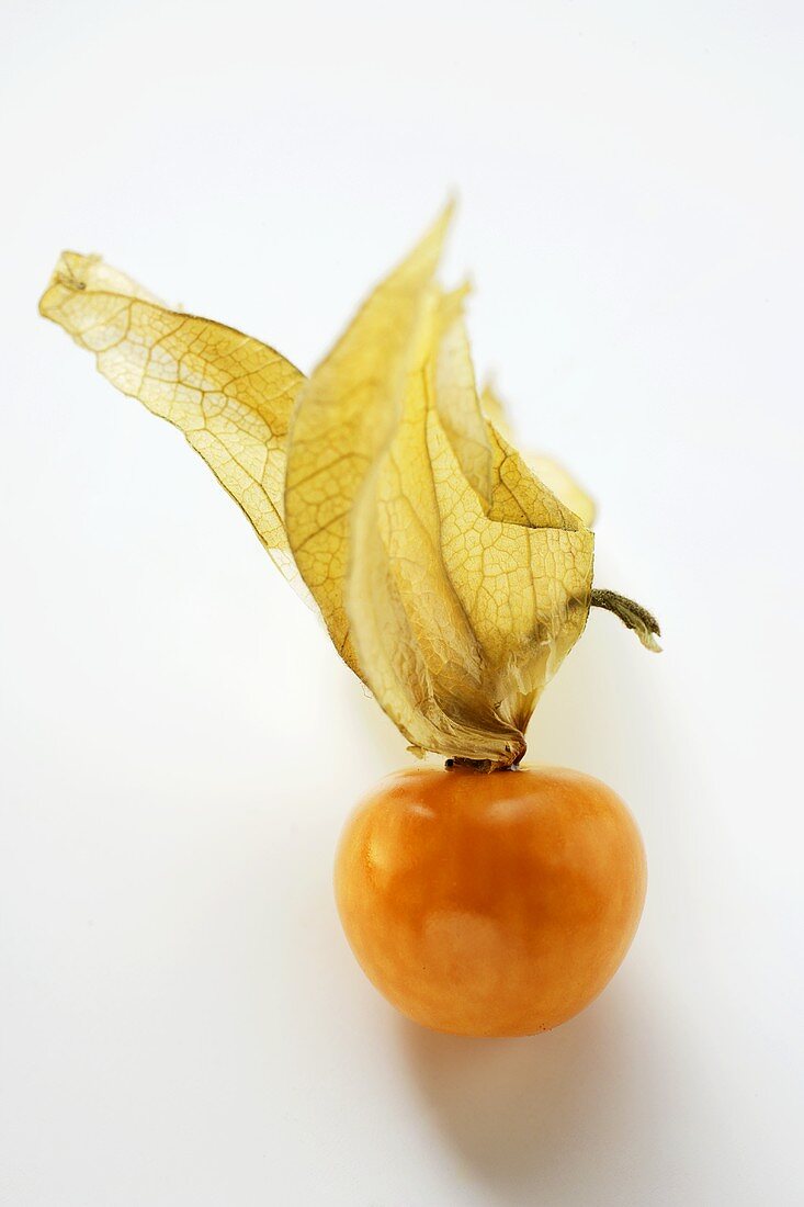 Physalis with calyx