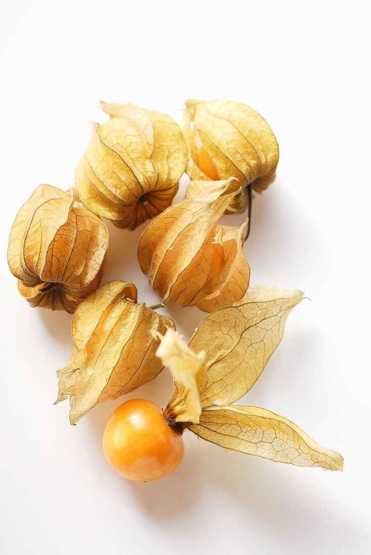 Physalis with and without calyxes