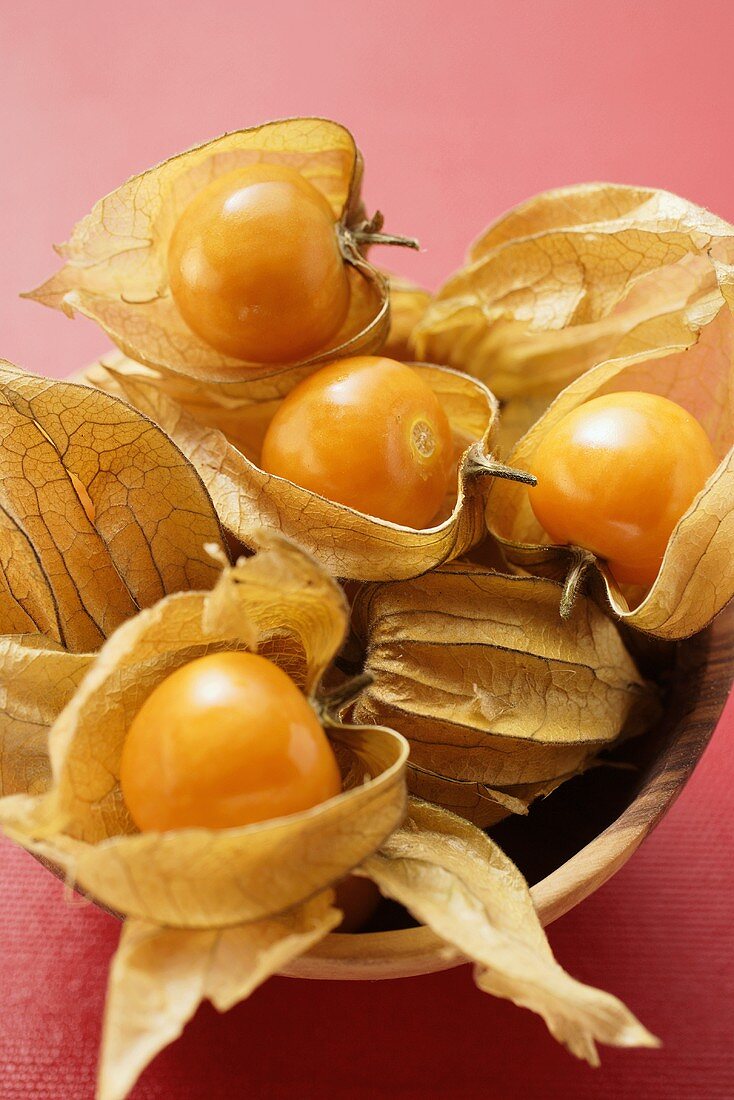 Several Physalis in wooden bowl