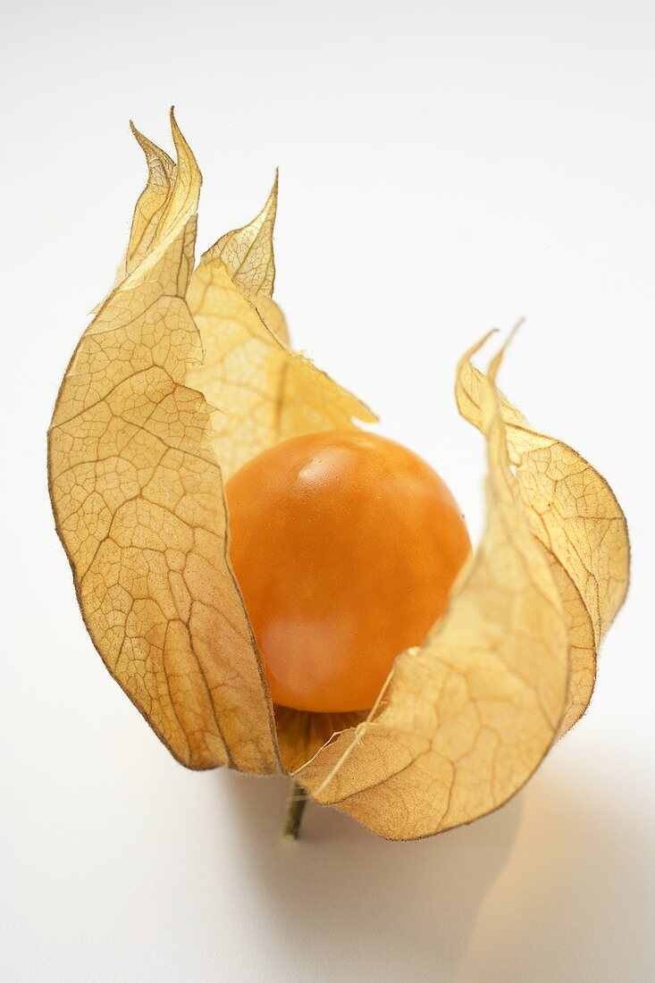 A Physalis with calyx