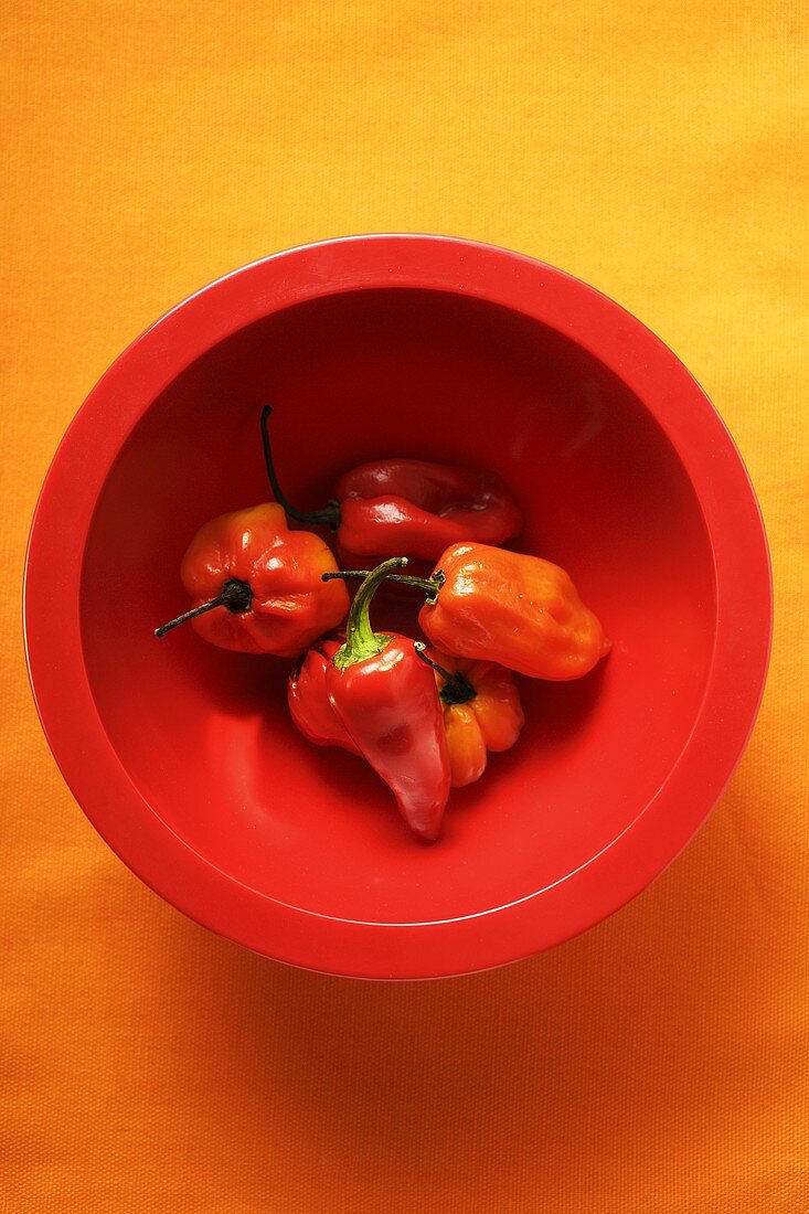 Habanero chili peppers in red bowl
