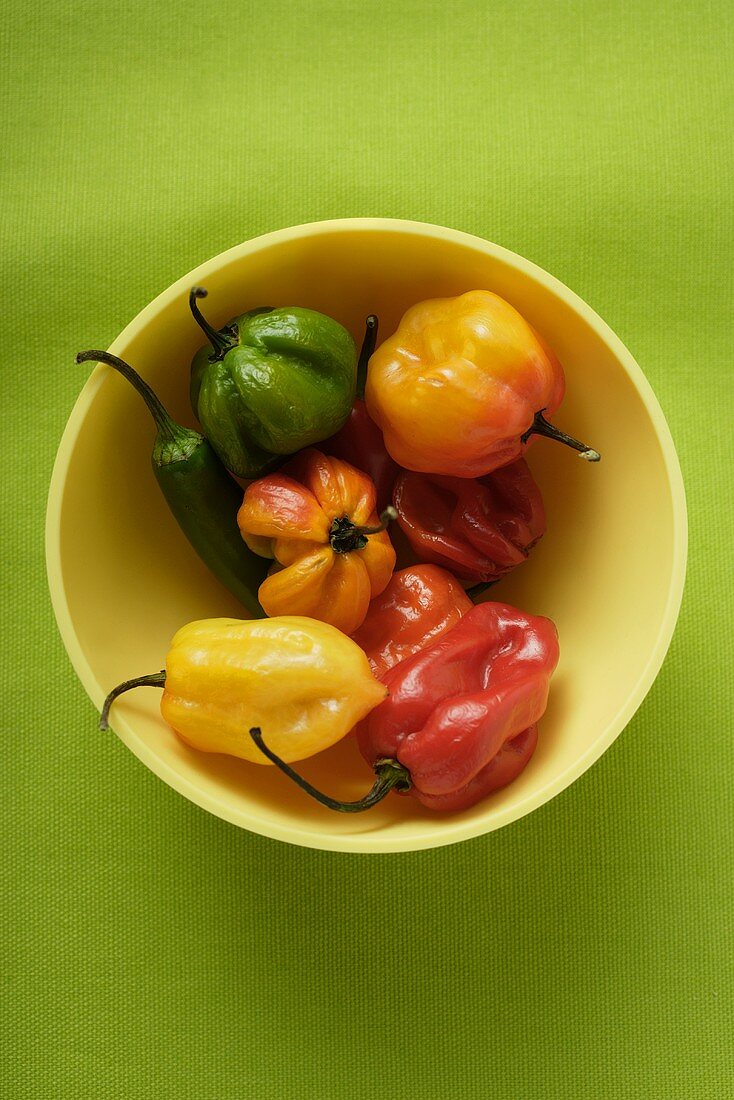 Various chili peppers in yellow bowl