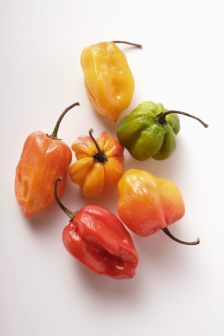 Various chili peppers on white background