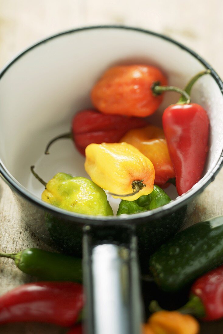 Verschiedene Chilischoten im Kochtopf