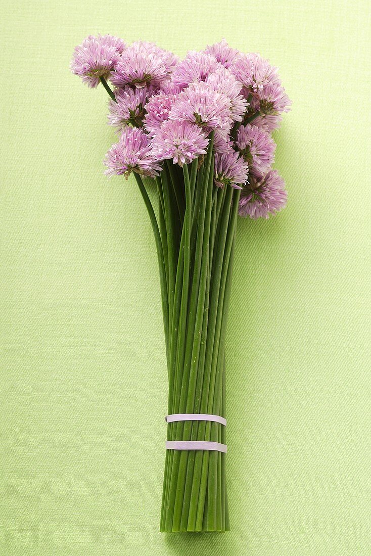 A bundle of chives with flowers