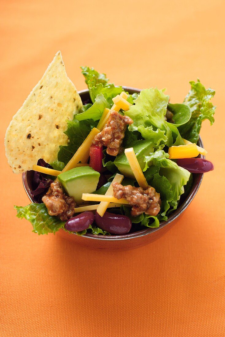 Mexikanischer Salat mit Hackfleisch, Gemüse und Käse