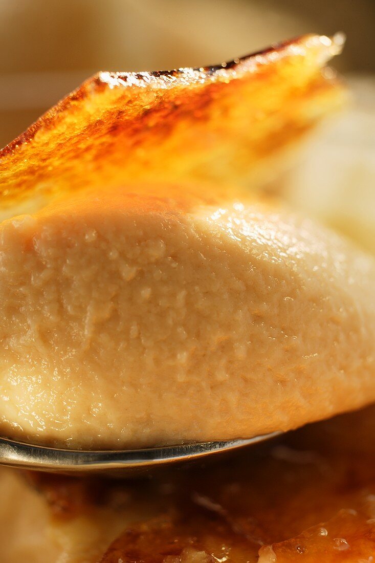 Crème brûlée: karamellisiertes Entenlebermousse (Detail)