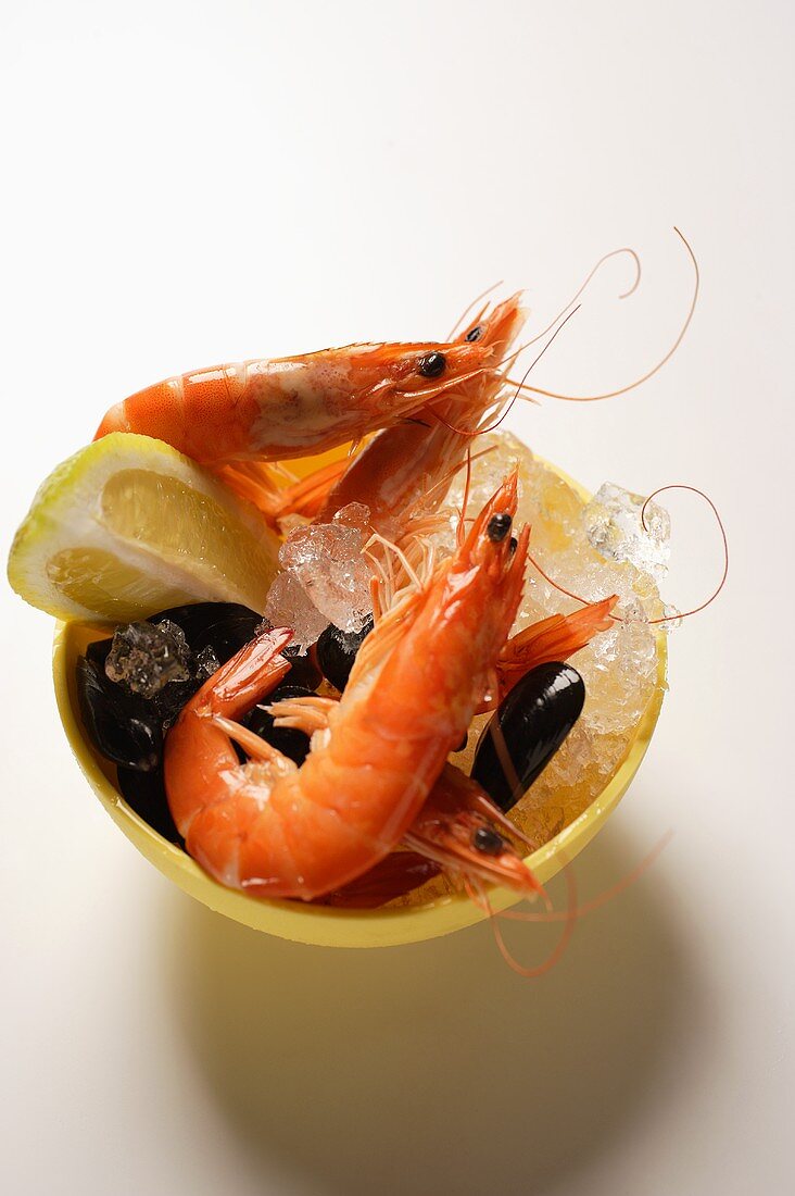 Shrimps and mussels in bowl with ice cubes