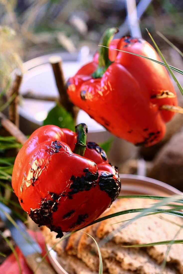 Grilled peppers for picnic in open air