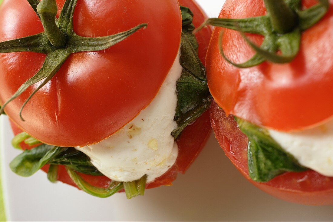 Tomatoes stuffed with goat's cheese and spinach