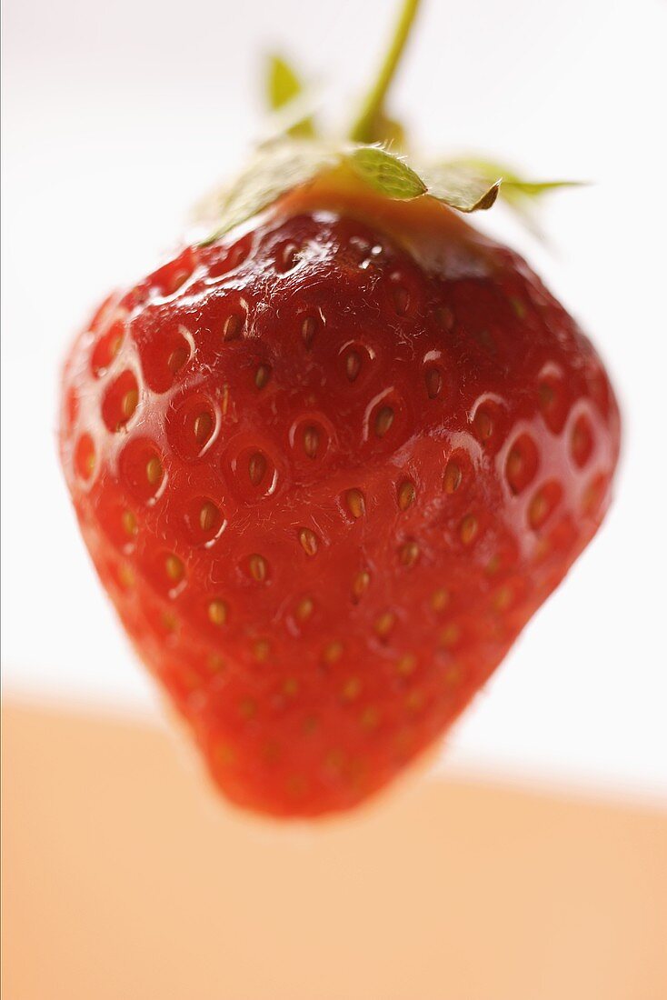 Eine reife Erdbeere