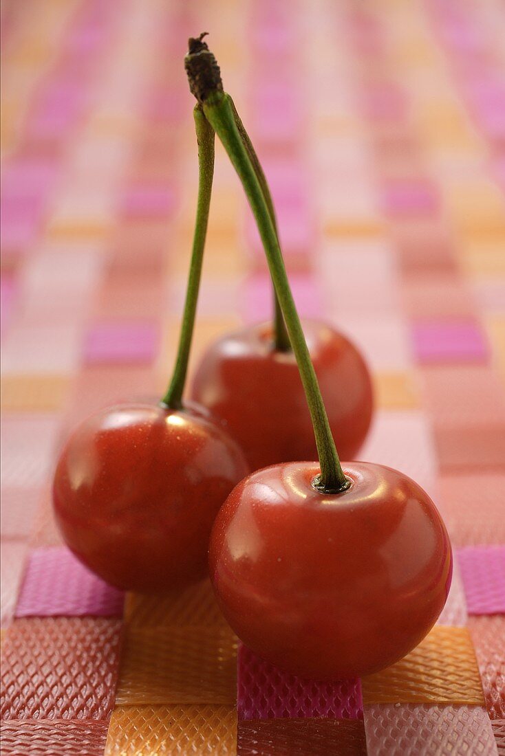 Three fresh cherries on stalk