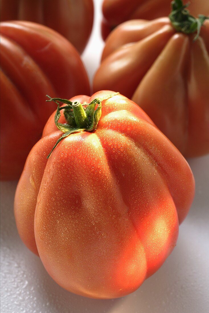 Tomaten mit Wassertropfen