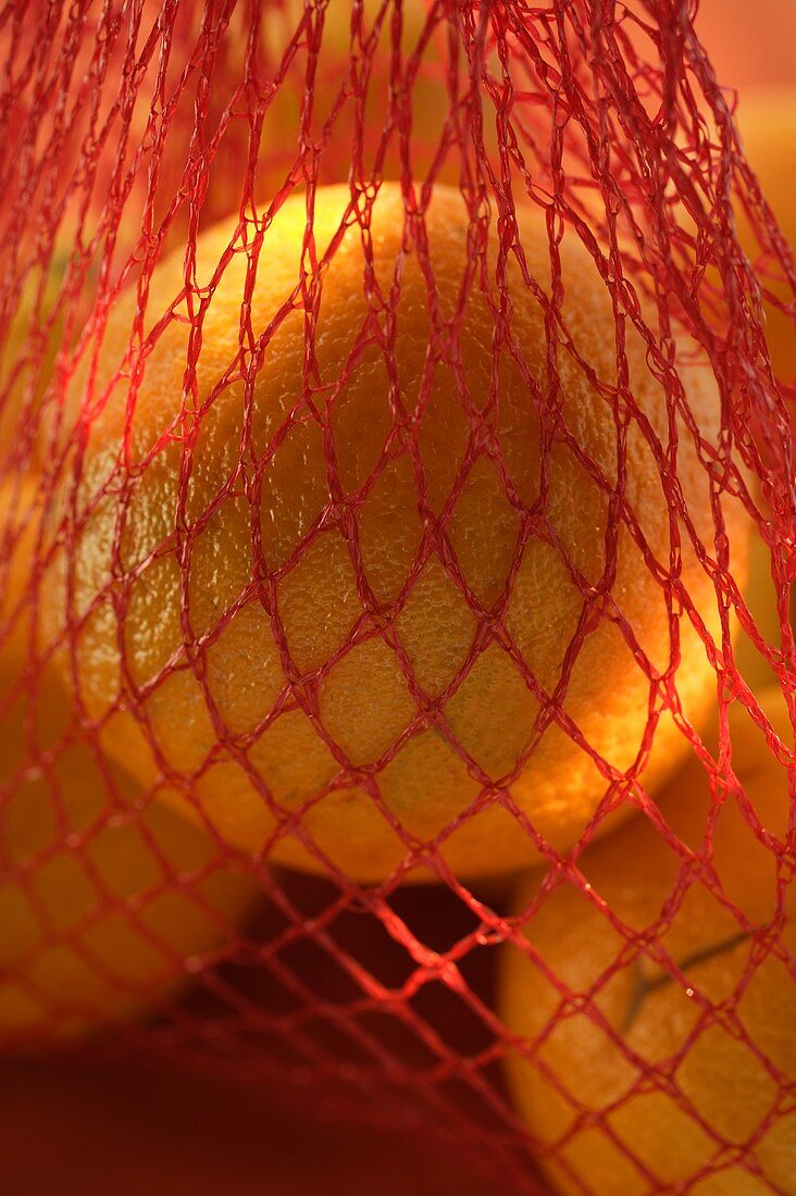 Oranges in net