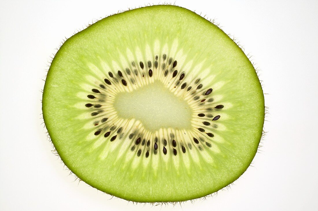 Slice of kiwi fruit, backlit