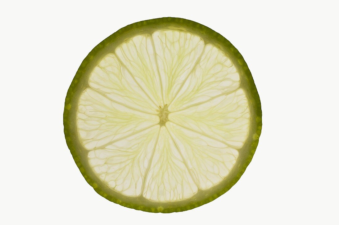 Slice of lime, backlit