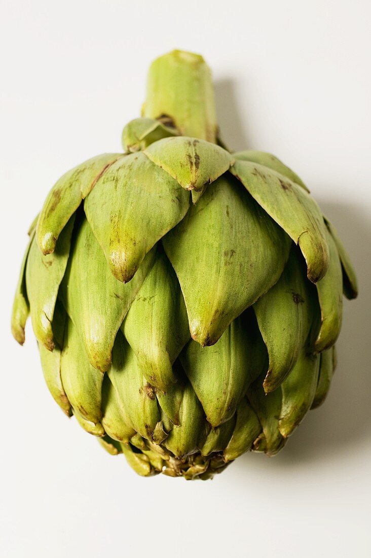 Green artichoke