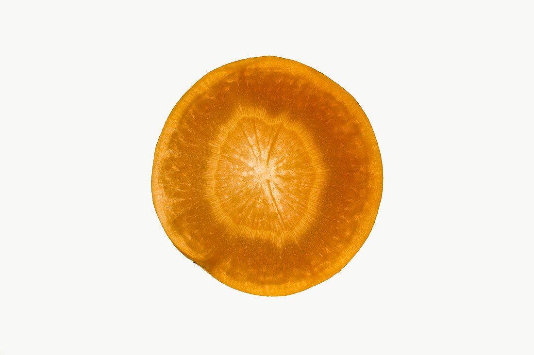 Slice of carrot (cross-section), backlit